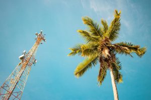 Acesso à Internet no Brasil: Desigualdade Digital e suas Consequências